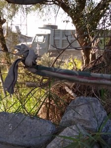 WhatsApp Image 2020-12-29 at 3.50.02 PM