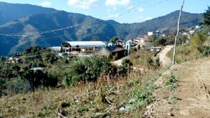 WhatsApp Image 2021-01-20 at 5.00.27 PM