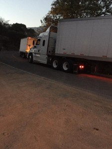 WhatsApp Image 2021-01-27 at 3.10.55 PM (5)