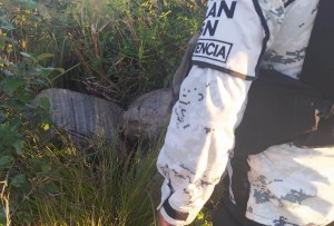 WhatsApp Image 2021-02-05 at 6.12.17 PM