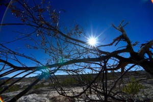 WhatsApp Image 2021-02-13 at 12.41.20 PM