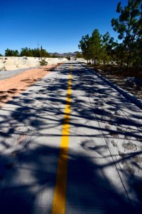 WhatsApp Image 2021-02-13 at 12.41.21 PM