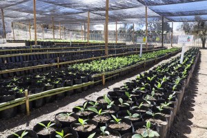 WhatsApp Image 2021-02-13 at 5.28.19 PM (2)