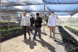 WhatsApp Image 2021-02-13 at 5.28.19 PM (5)