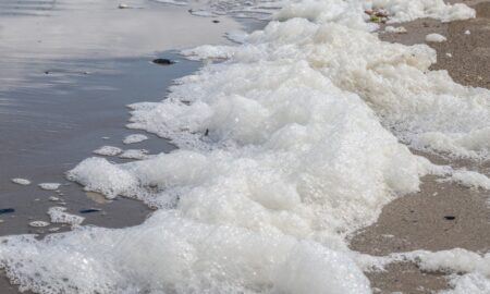 Seguro ambiental crece 6% anual