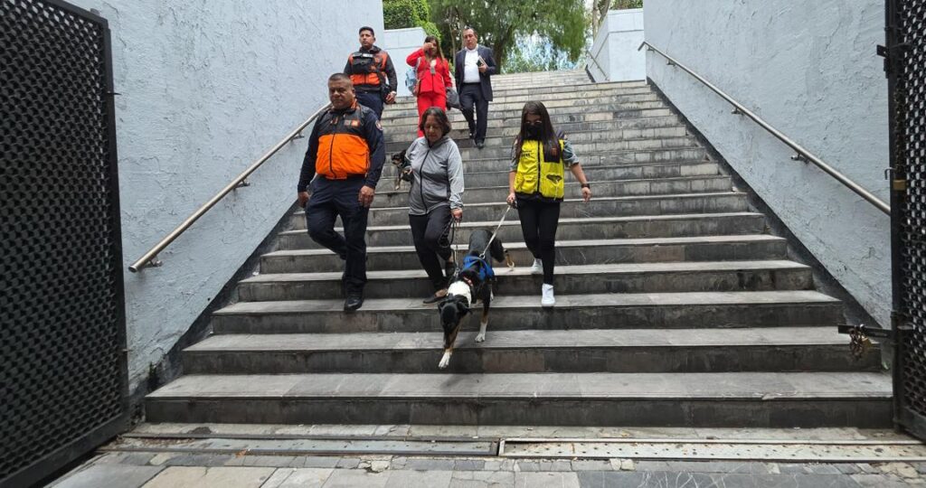 a favor de una movilidad autónoma y libre de discriminación