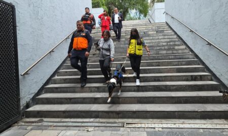 a favor de una movilidad autónoma y libre de discriminación