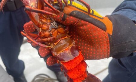 ecomisan AGRICULTURA y MARINA más de 4 mil toneladas de productos pesqueros