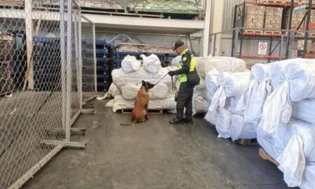Aseguran cargamento de fentanilo en el AIFA