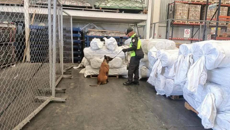 Aseguran cargamento de fentanilo en el AIFA