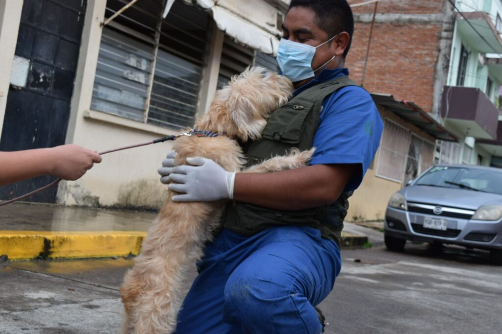 Brigadas de SEDEMA brindan atención veterinaria y alimento a mascotas afectadaspor inundaciones