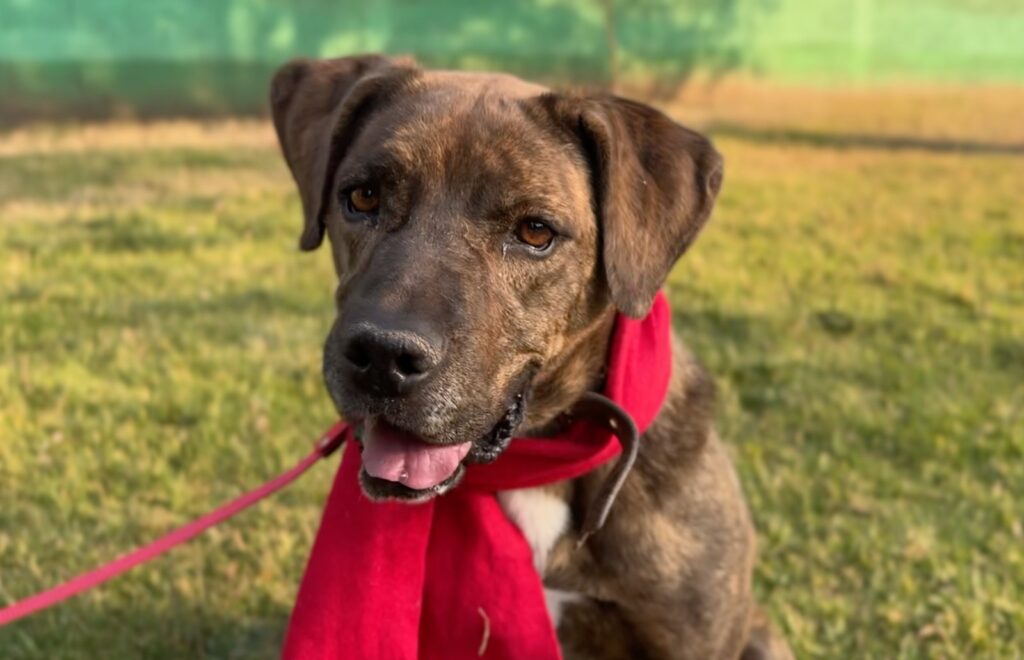Peritos del Centro de Transferencia del Metro