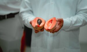 México envía su primer embarque de exportación de mamey al Reino Unido