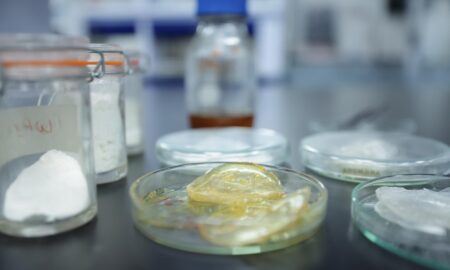 Crean investigadoras del IPN parches personalizados para cicatrizar heridas de difícil tratamiento