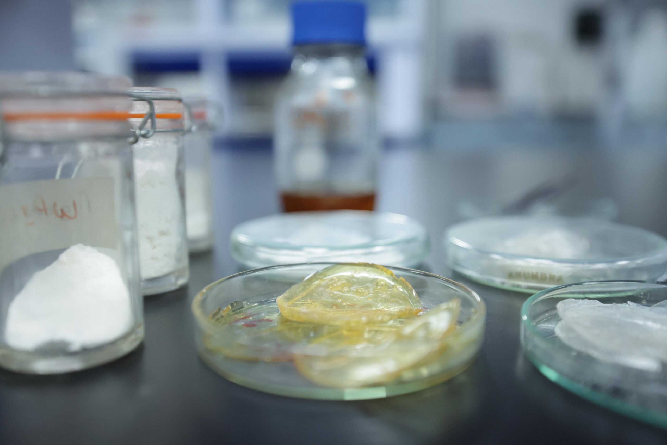 Crean investigadoras del IPN parches personalizados para cicatrizar heridas de difícil tratamiento
