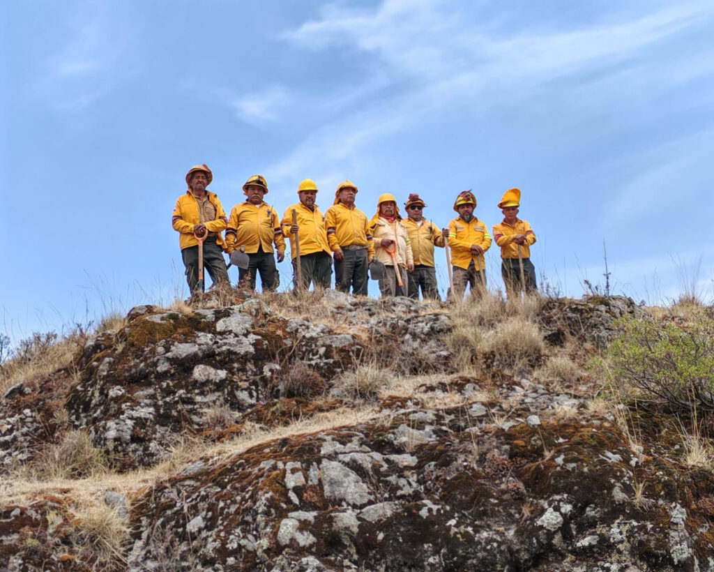 Brigadistas en incendios forestales